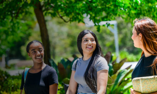 Teacher Training Qualification (TTQ)